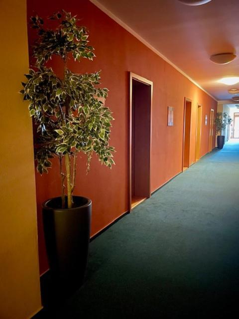 Hotel U Milina Esterno foto